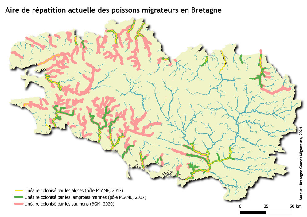 Aire de rrépartition des migrateurs en Bretagne