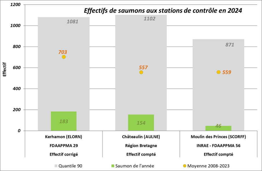 2024 effectifs provisoires sat