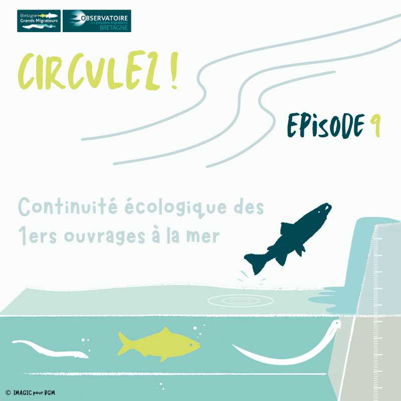 Chronique RCE article 7