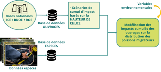 chronique rce montepomi image1