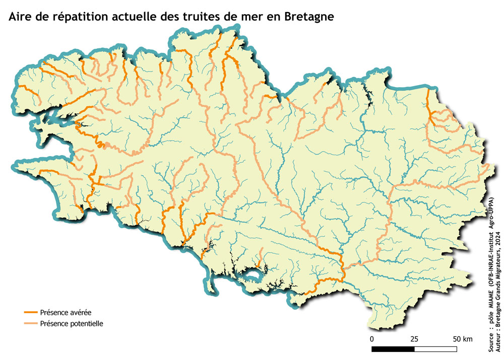 TRM aire de répartition