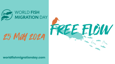 Free Flow ! la journée mondiale pour la libre circulation ... Image 1