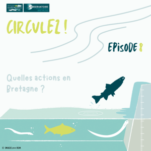 Circulez ! Article 8 : Quelles actions en Bretagne ? Image 1