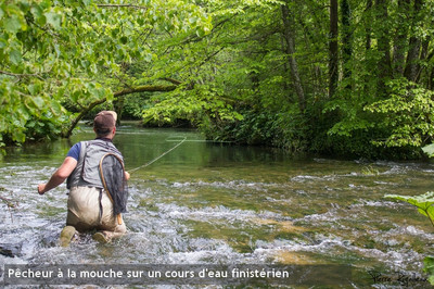 Avis favorable du COGEPOMI à la suspension de la pêche du ... Image 1