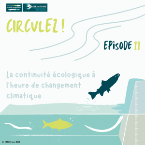 Circulez ! Episode 11 : La continuité écologique à l’heure ... Image 1