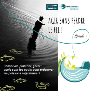 Agir sans perdre le fil ! Article 1 - Conserver, planifier, ... Image 1